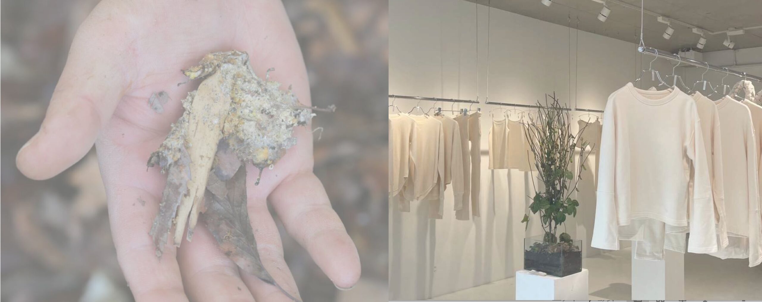 SIC会員企画【2/4（水）開催】小さなお子様を持つパパママ向け！「土に還る服」をコンセプトに事業を展開するSyncsが提供するアパレルワークショップ